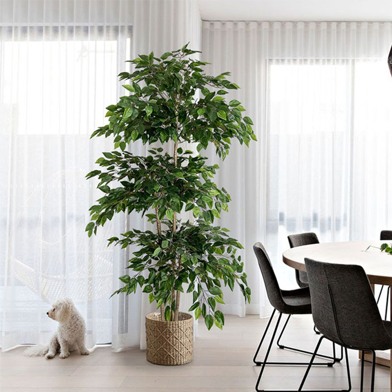Ficus Lyrata Tree - 70in Ficus albero artificiale grandi piante