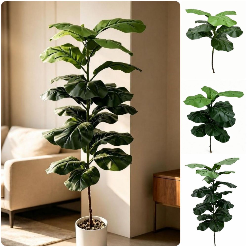 Ficus Lyrata Tree - 9/15/23 Foglie di Ficus Lyrata Artificiale
