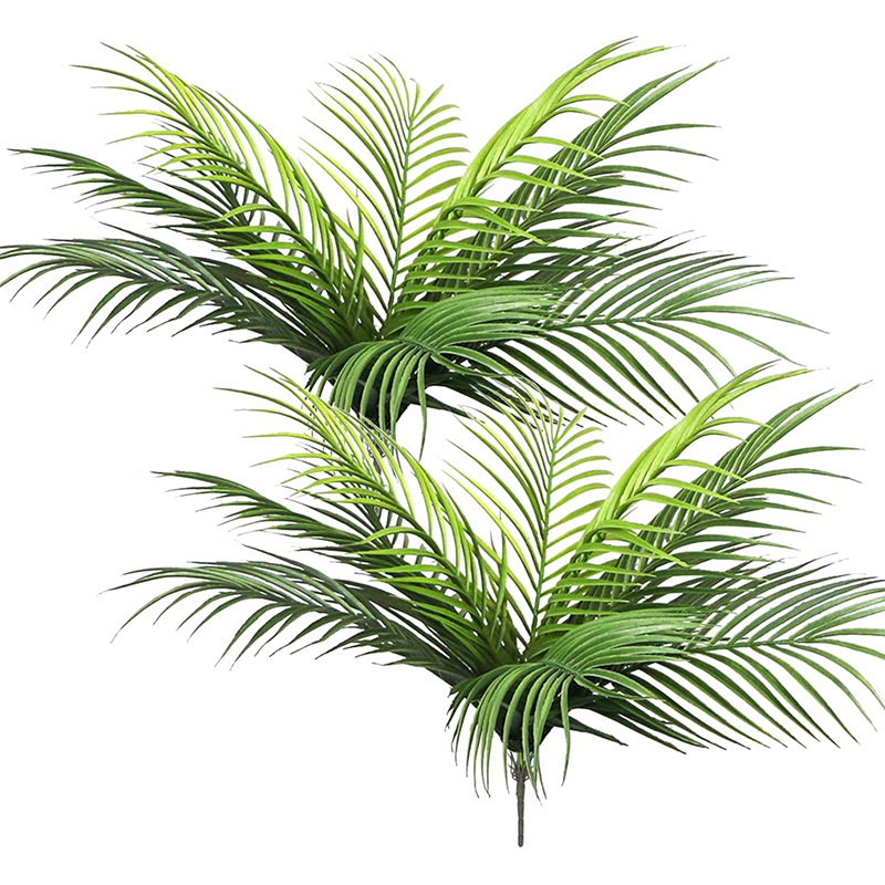 Dracaena Marginata - 20,47 pollici 9 foglie piante tropicali