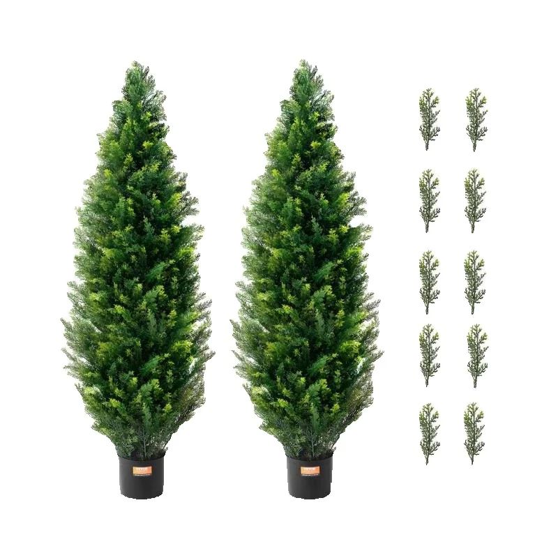 SucceBuy Albero Topiario di Ce - Dracaena Marginata recensione e prezzo