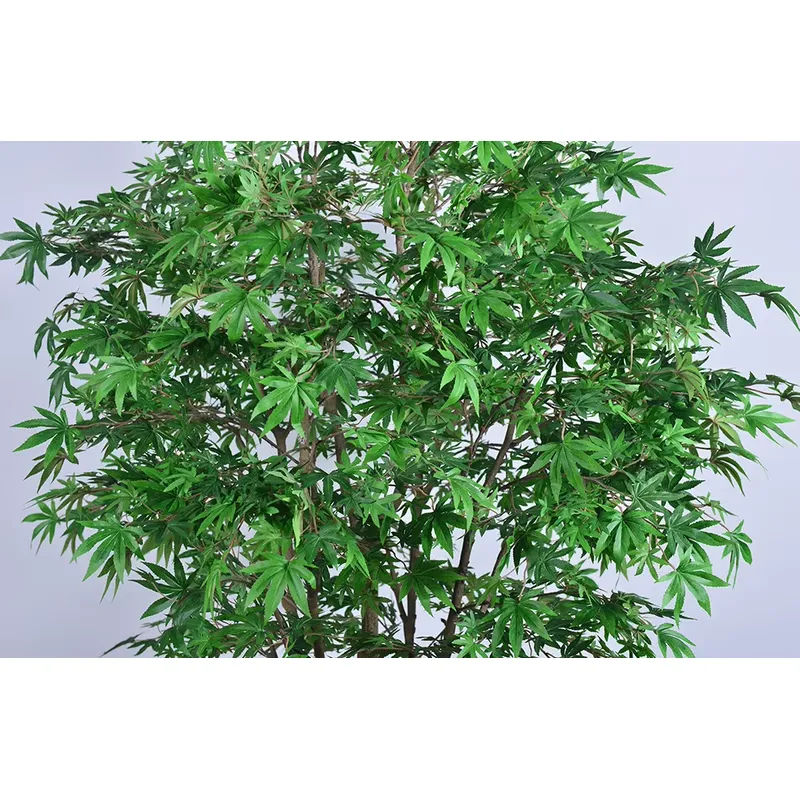 Albero di Acero Verde Artifici - Dracaena Marginata recensione e prezzo
