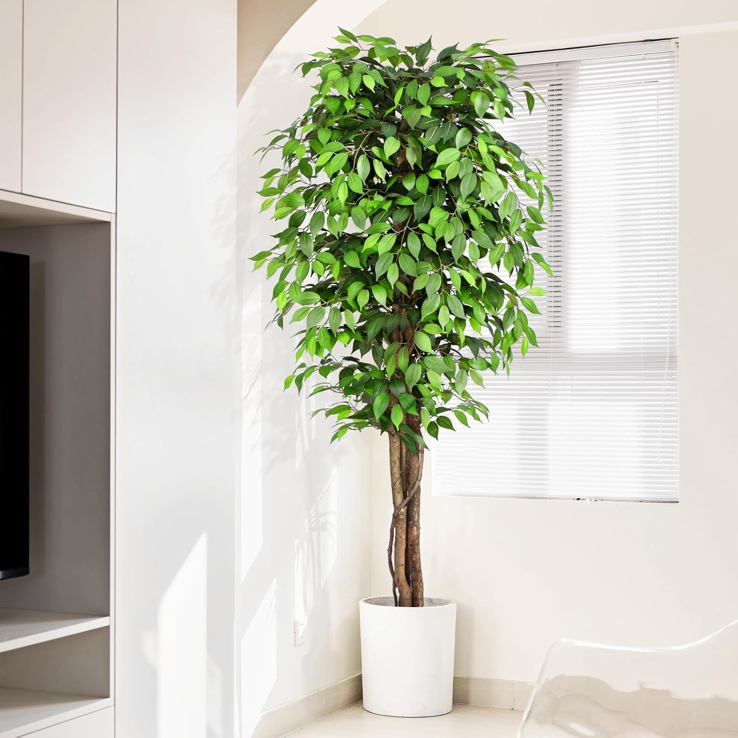 Albero di Ficus Artificiale Re - Dracaena Marginata recensione e prezzo