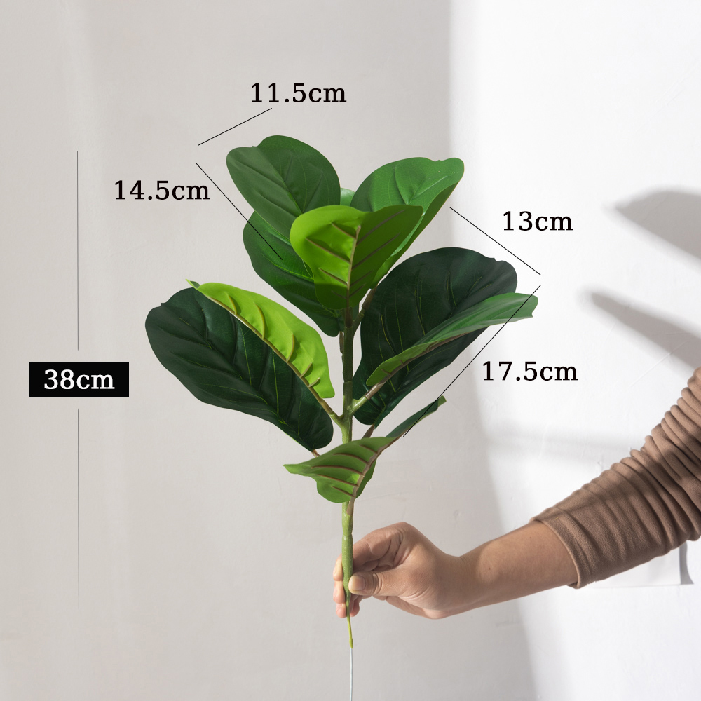 38 centimetri 9 Forchette Pian - Ficus Lyrata Tree recensione e prezzo