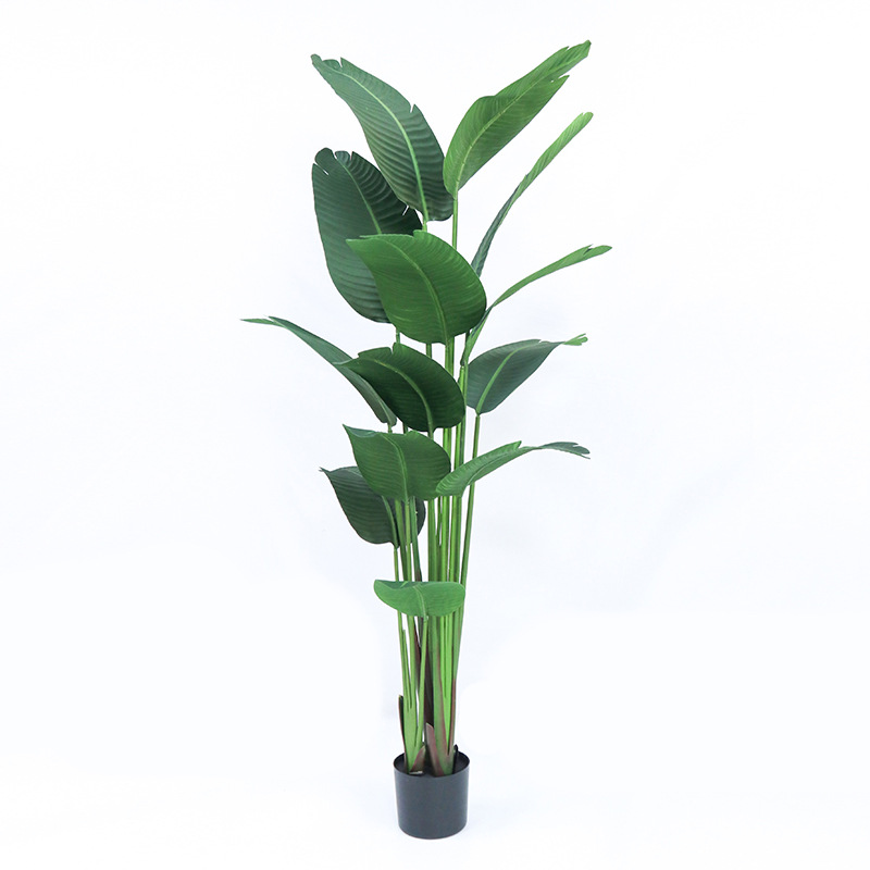 Plastica artificiale in vaso ​ - Bird Paradise Strelitzia recensione e prezzo