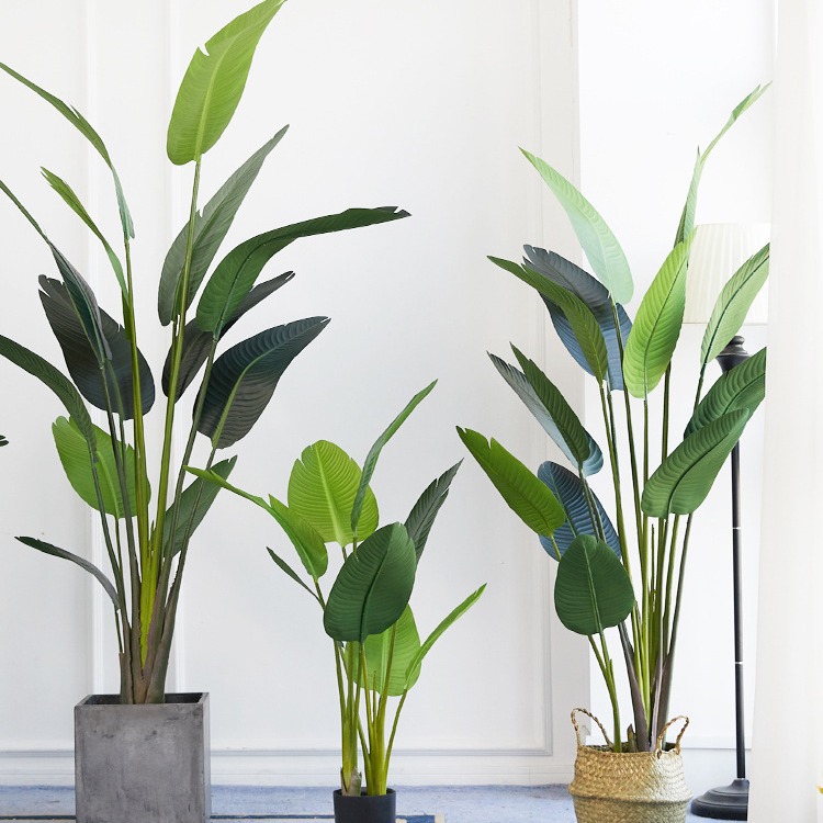 Plastica artificiale in vaso ​ - Bird Paradise Strelitzia recensione e prezzo