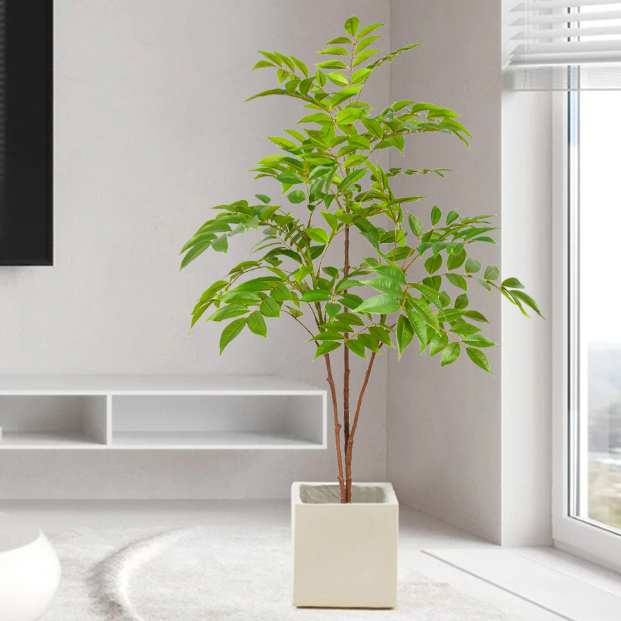 76-140 cm Grande ramo di alber - Ficus Lyrata Tree recensione e prezzo