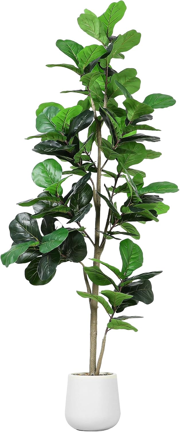 Albero Artificiale Ficus Lyrat - Ficus Lyrata Tree recensione e prezzo