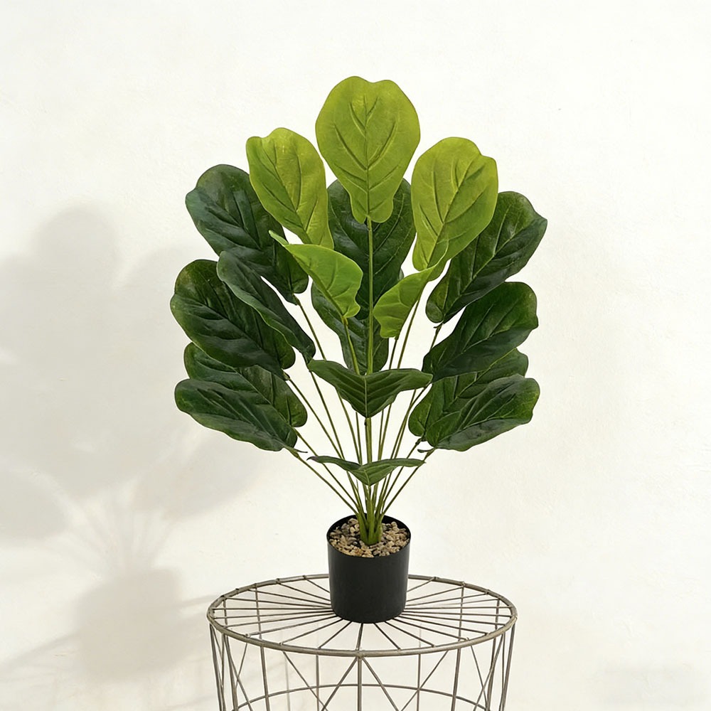 1 Pezzo di Ficus Lyrata Artifi - Ficus Lyrata Tree recensione e prezzo