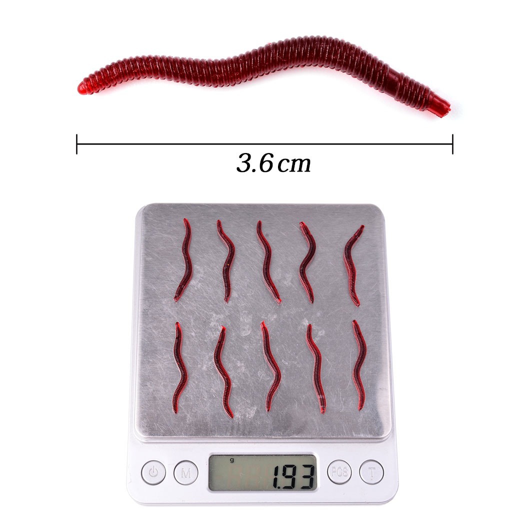 50 Pezzi Esche da Pesca Realis - Aglaonema Red recensione e prezzo
