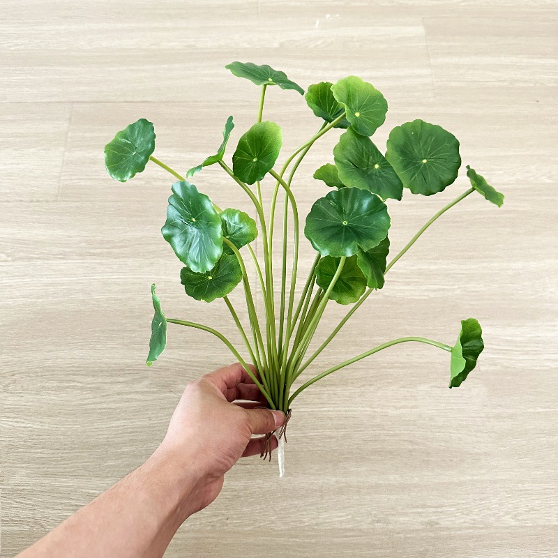 2 pezzi di foglie finte artifi - Pilea Peperomioides recensione e prezzo
