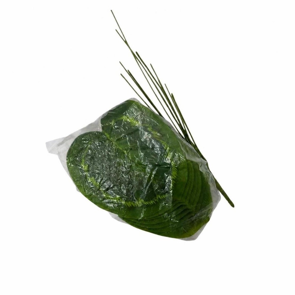 9/15/23 Foglie di Ficus Lyrata - Ficus Lyrata Tree recensione e prezzo
