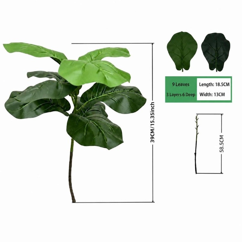9/15/23 Foglie di Ficus Lyrata - Ficus Lyrata Tree recensione e prezzo