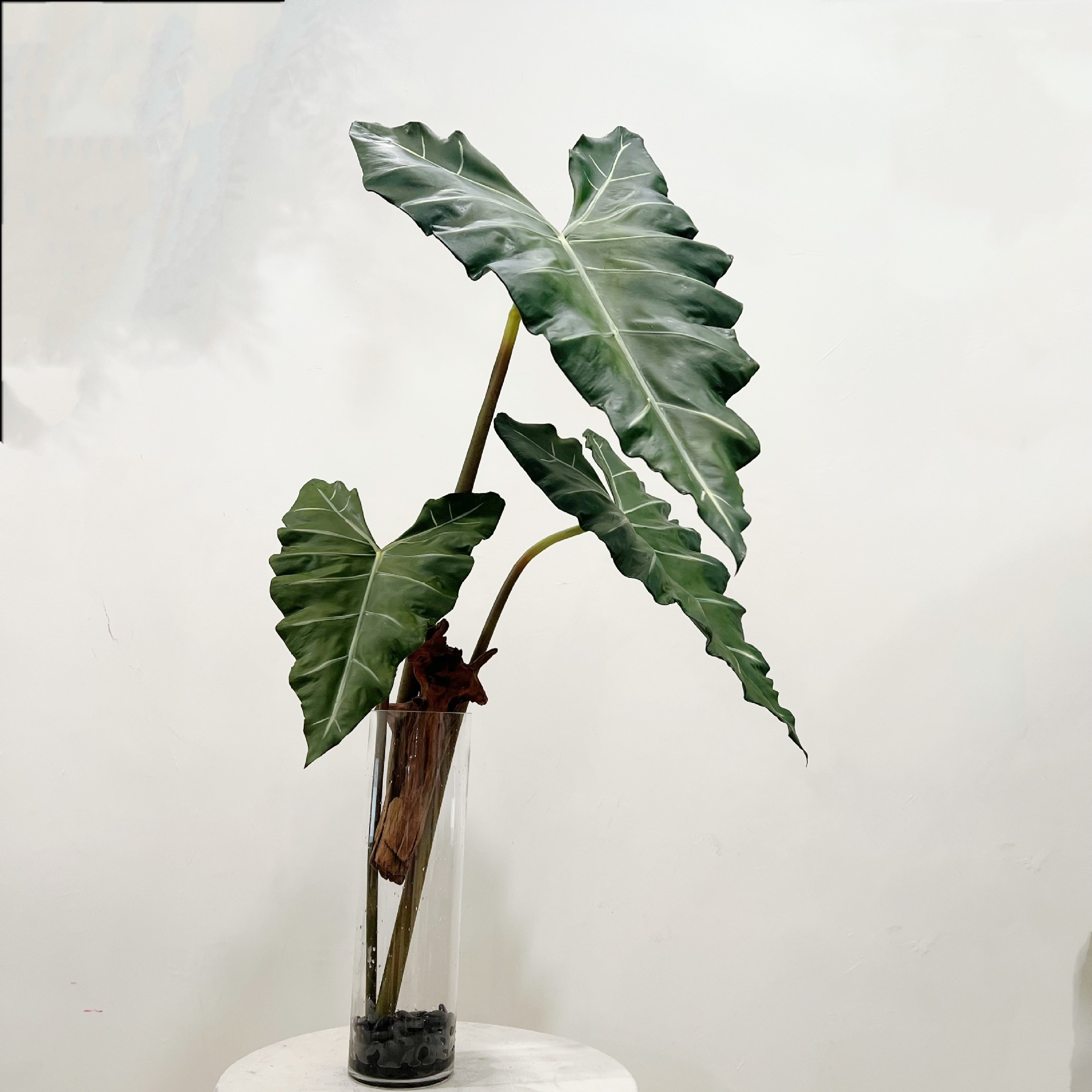 Pianta verde simulata lunga in - Dracaena Marginata recensione e prezzo