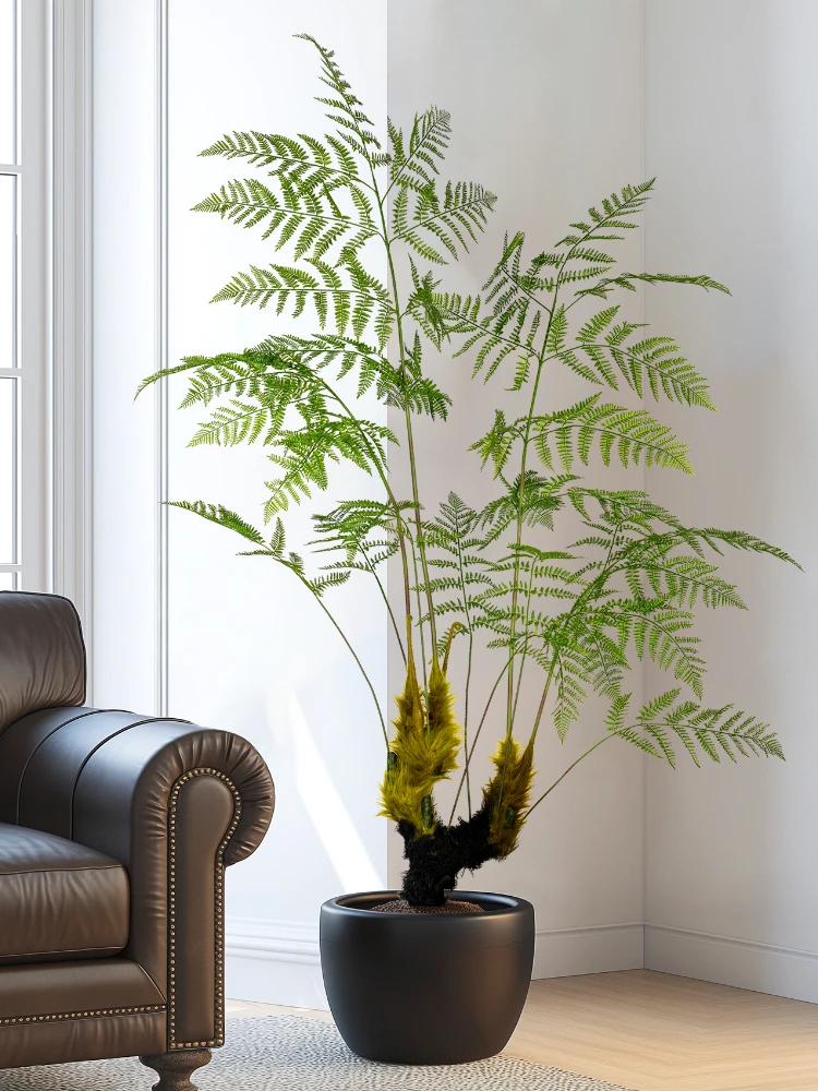 Grande scimmia dorata simulata - Dracaena Marginata recensione e prezzo